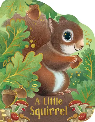 Un piccolo scoiattolo - A Little Squirrel