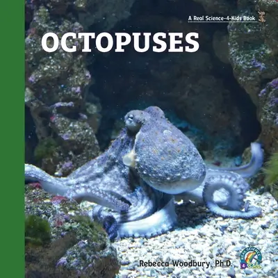 Polpi - Octopuses