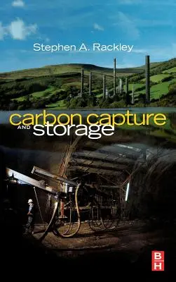 Cattura e stoccaggio del carbonio - Carbon Capture and Storage