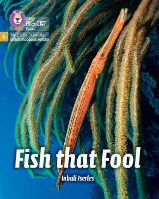 Il pesce che frega - Fase 5 Set 1 - Fish that Fool - Phase 5 Set 1