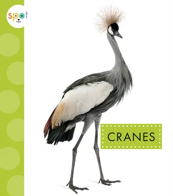 Gru - Cranes