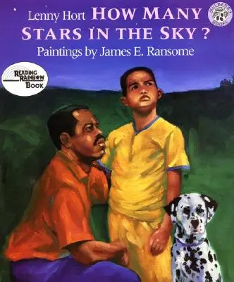Quante stelle nel cielo? - How Many Stars in the Sky?
