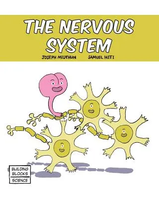 Il sistema nervoso - The Nervous System