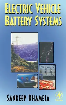 Sistemi di batterie per veicoli elettrici - Electric Vehicle Battery Systems