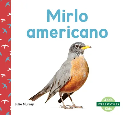 Mirlo Americano (pettirosso americano) - Mirlo Americano (American Robins)