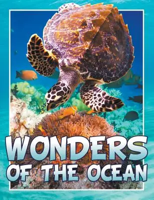Meraviglie dell'oceano - Wonders of the Ocean