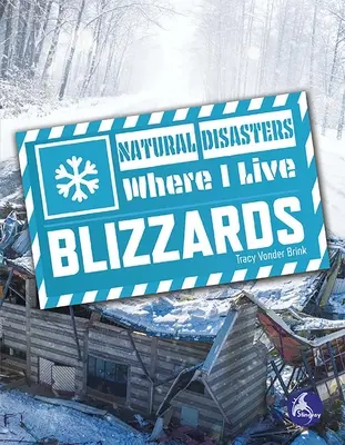 Bufere di neve - Blizzards