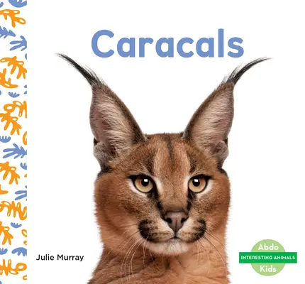 Caracal - Caracals