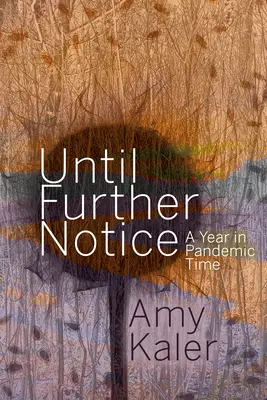 Fino a nuovo avviso: Un anno nel tempo delle pandemie - Until Further Notice: A Year in Pandemic Time