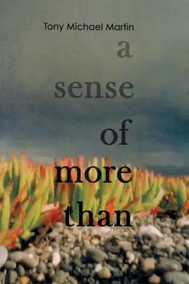 Il senso del più che - A Sense of More Than