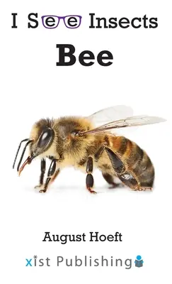 Ape - Bee