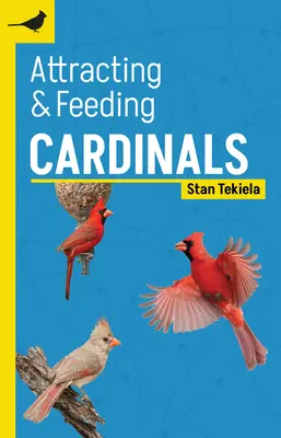Attirare e nutrire i cardinali - Attracting & Feeding Cardinals