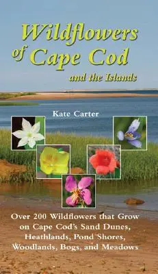 Fiori selvatici di Cape Cod e delle isole: Oltre 200 fiori selvatici che crescono sulle dune di sabbia, le brughiere, le rive degli stagni, i boschi, le paludi e i prati di Cape Cod. - Wildflowers of Cape Cod and the Islands: Over 200 Wildflowers That Grow on Cape Cod's Sand Dunes, Heathlands, Pond Shores, Woodlands, Bogs and Meadows