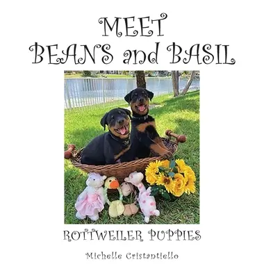 Vi presento i fagioli e il basilico - Meet Beans and Basil