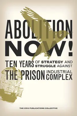 Abolition Now! Dieci anni di strategia e lotta contro il complesso industriale carcerario - Abolition Now!: Ten Years of Strategy and Struggle Against the Prison Industrial Complex