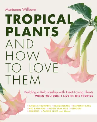Piante tropicali e come amarle: costruire un rapporto con le piante amanti del calore quando non si vive ai tropici - Trombe d'angelo - Lemongra - Tropical Plants and How to Love Them: Building a Relationship with Heat-Loving Plants When You Don't Live in the Tropics - Angel's Trumpets - Lemongra