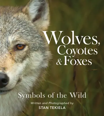 Lupi, coyote e volpi: Simboli della natura selvaggia - Wolves, Coyotes & Foxes: Symbols of the Wild
