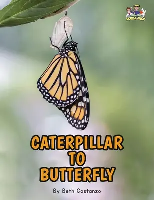 Lettera C - Dal bruco alla farfalla per bambini 3-8 anni - Letter C - Caterpillar to Butterfly for Kids 3-8