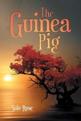 Il porcellino d'India - The Guinea Pig