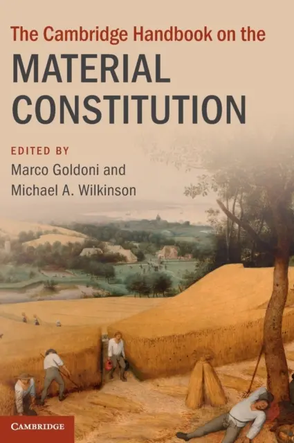 Il manuale di Cambridge sulla costituzione materiale - The Cambridge Handbook on the Material Constitution