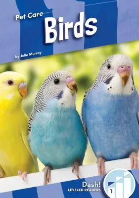 Uccelli - Birds