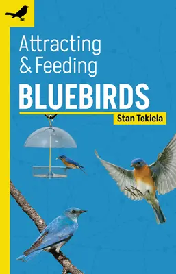 Attirare e nutrire gli uccelli azzurri - Attracting & Feeding Bluebirds