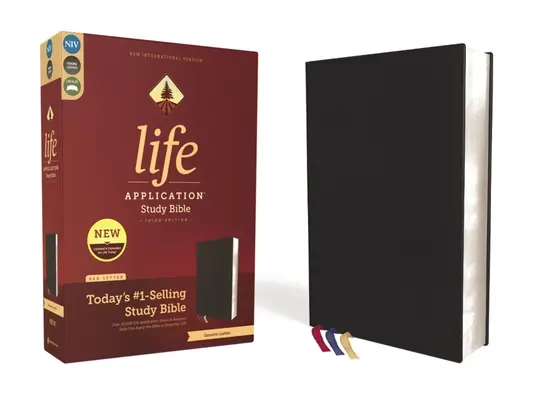 Niv, Bibbia per lo studio dell'applicazione della vita, terza edizione, vera pelle, pelle bovina, nero, bordi dorati, lettere rosse - Niv, Life Application Study Bible, Third Edition, Genuine Leather, Cowhide, Black, Art Gilded Edges, Red Letter