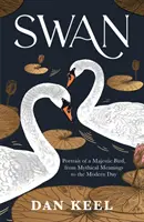 Il cigno - Ritratto di un uccello maestoso, dai significati mitici ai giorni nostri - Swan - Portrait of a Majestic Bird, from Mythical Meanings to the Modern Day