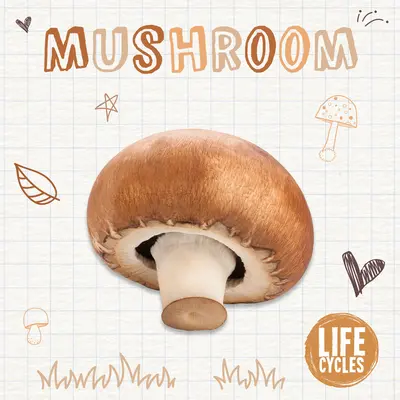 Fungo - Mushroom