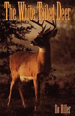 Il cervo dalla coda bianca - The White-Tailed Deer