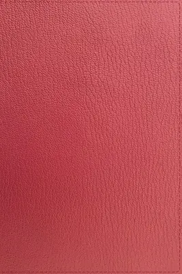 Niv, Bibbia Thinline, Pelle di capra premium, Corallo, Collezione Premier, Lettera nera, Bordi garzati, Stampa comfort - Niv, Thinline Bible, Premium Goatskin Leather, Coral, Premier Collection, Black Letter, Gauffered Edges, Comfort Print
