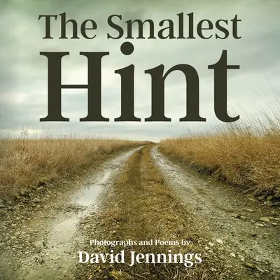 Il più piccolo suggerimento - The Smallest Hint