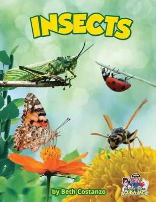 Insetti - Insects