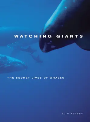 Guardare i giganti: La vita segreta delle balene - Watching Giants: The Secret Lives of Whales