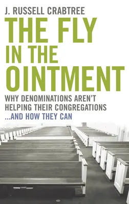 La mosca nell'unguento: Perché le denominazioni non aiutano le loro congregazioni... e come possono farlo - The Fly in the Ointment: Why Denominations Aren't Helping Their Congregations...and How They Can