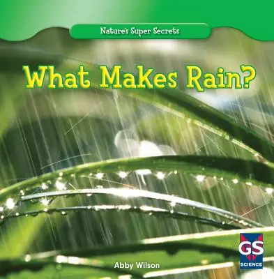 Cosa fa la pioggia? - What Makes Rain?