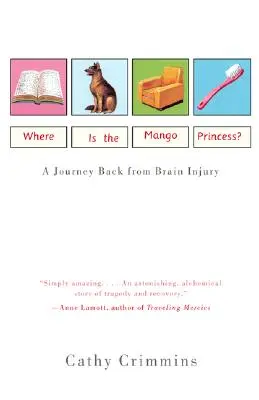 Dov'è la Principessa Mango? Un viaggio di ritorno da una lesione cerebrale - Where Is the Mango Princess?: A Journey Back from Brain Injury