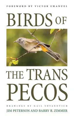 Uccelli del Trans-Pecos - Birds of the Trans-Pecos