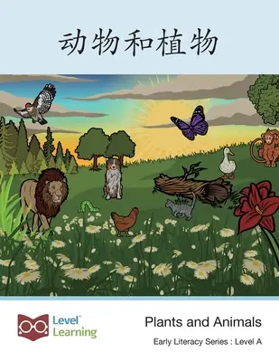动物和植物: Piante e animali - 动物和植物: Plants and Animals