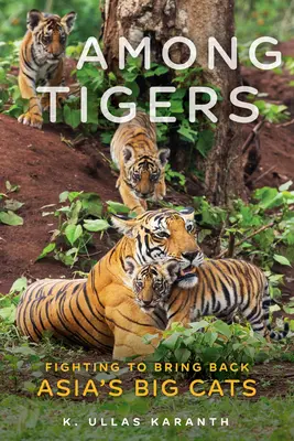 Tra le tigri: Combattere per riportare in vita i grandi felini dell'Asia - Among Tigers: Fighting to Bring Back Asia's Big Cats