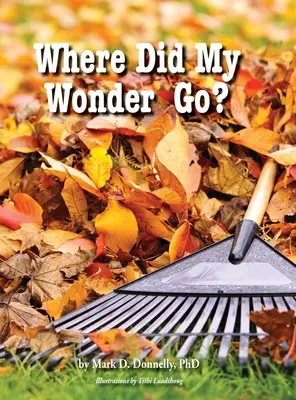 Dov'è finita la mia meraviglia? - Where Did My Wonder Go?