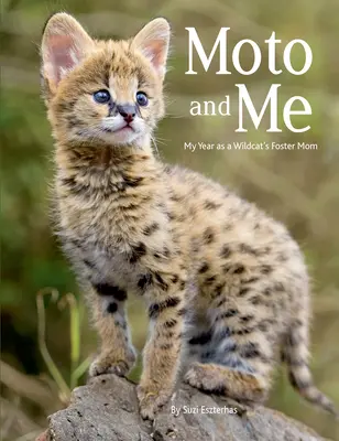 Io e Moto: Il mio anno come mamma adottiva di un gatto selvatico - Moto and Me: My Year as a Wildcat's Foster Mom