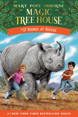Rinoceronti a ricreazione - Rhinos at Recess