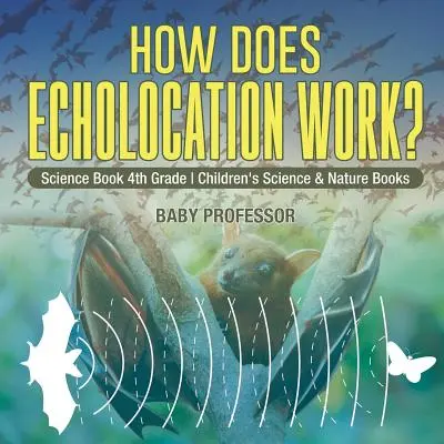 Come funziona l'ecolocazione? Libro di scienze per bambini di quarta elementare e libri sulla natura - How Does Echolocation Work? Science Book 4th Grade Children's Science & Nature Books