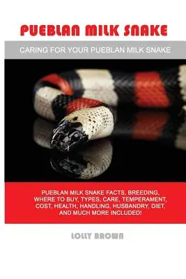 Serpente del latte di Pueblan: Fatti sul serpente da latte Pueblan, allevamento, dove comprarlo, tipi, cura, temperamento, costo, salute, gestione, allevamento, dieta, un - Pueblan Milk Snake: Pueblan Milk Snake facts, breeding, where to buy, types, care, temperament, cost, health, handling, husbandry, diet, a