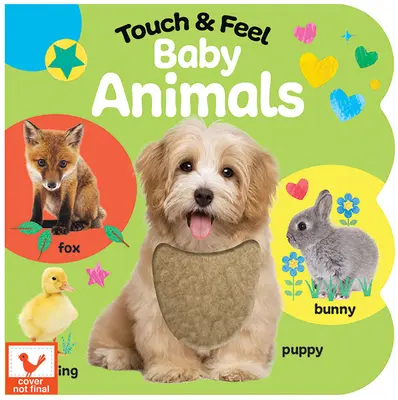 Toccare e sentire i piccoli animali - Touch & Feel Baby Animals