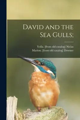 David e i gabbiani marini; - David and the Sea Gulls;