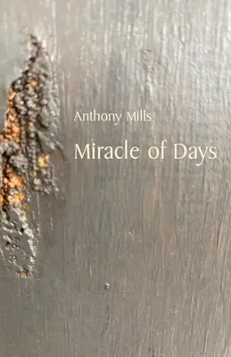 Il miracolo dei giorni - Miracle of Days