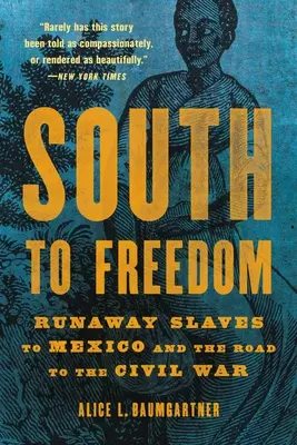 Da sud alla libertà: Schiavi in fuga verso il Messico e la strada verso la guerra civile - South to Freedom: Runaway Slaves to Mexico and the Road to the Civil War
