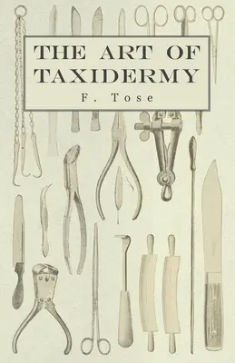 L'arte della tassidermia - The Art of Taxidermy